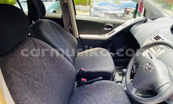 Tenga Tsaru Toyota Vitz Sirivha Mota in Beitbridge in Matabeleland South Tenga Tsaru Toyota Vitz Sirivha Mota in Beitbridge in Matabeleland South