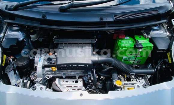 Tenga Tsaru Toyota Vitz Sirivha Mota in Beitbridge in Matabeleland South Tenga Tsaru Toyota Vitz Sirivha Mota in Beitbridge in Matabeleland South