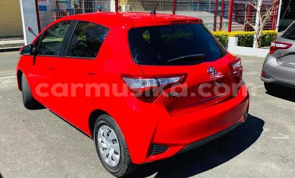 Buy Used Toyota Vitz Red Car in Beitbridge in Matabeleland South Buy Used Toyota Vitz Red Car in Beitbridge in Matabeleland South
