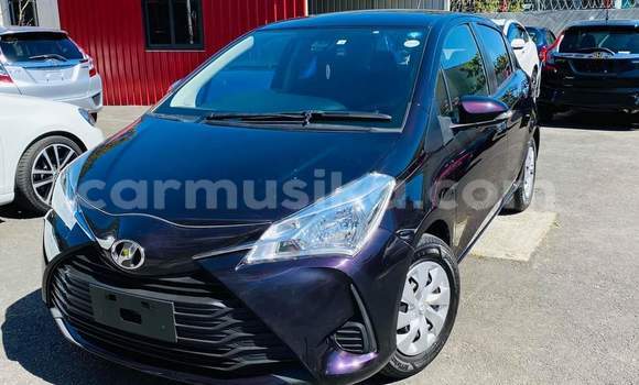 Buy Used Toyota Vitz Other Car in Harare in Harare