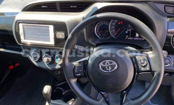 Tenga Tsaru Toyota Vitz Zvimwe Mota in Harare in Harare Tenga Tsaru Toyota Vitz Zvimwe Mota in Harare in Harare