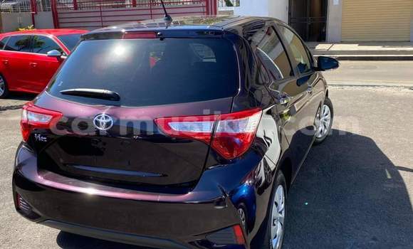 Tenga Tsaru Toyota Vitz Zvimwe Mota in Harare in Harare Tenga Tsaru Toyota Vitz Zvimwe Mota in Harare in Harare