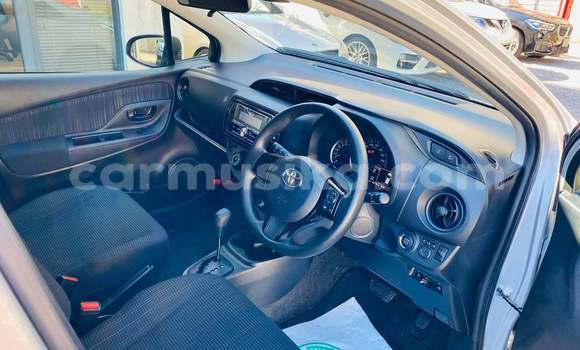 Tenga Tsaru Toyota Vitz Sirivha Mota in Bulawayo in Bulawayo Tenga Tsaru Toyota Vitz Sirivha Mota in Bulawayo in Bulawayo