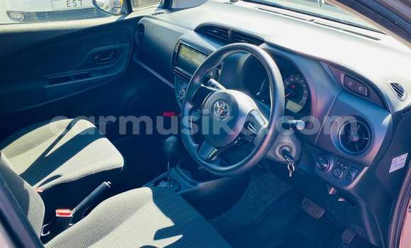 Buy Used Toyota Vitz Silver Car in Harare in Harare Buy Used Toyota Vitz Silver Car in Harare in Harare