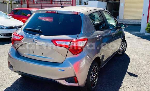Buy Used Toyota Vitz Silver Car in Harare in Harare Buy Used Toyota Vitz Silver Car in Harare in Harare