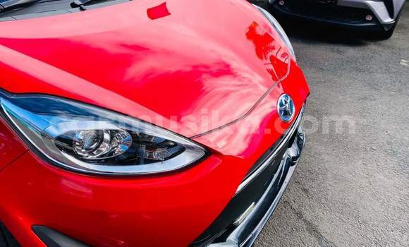 Buy Used Toyota Aqua Red Car in Beitbridge in Matabeleland South Buy Used Toyota Aqua Red Car in Beitbridge in Matabeleland South