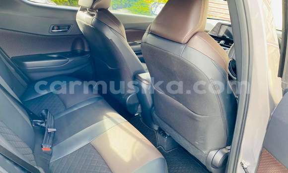 Buy Used Toyota C-HR Silver Car in Beitbridge in Matabeleland South Buy Used Toyota C-HR Silver Car in Beitbridge in Matabeleland South