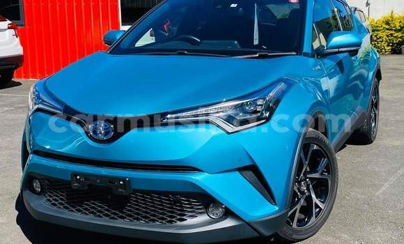 Tenga Tsaru Toyota C-HR Bhuruu Mota in Harare in Harare