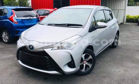 Nunua Ilio tumika Toyota Vitz Fedha Gari ndani ya Borrowdale nchini Harare