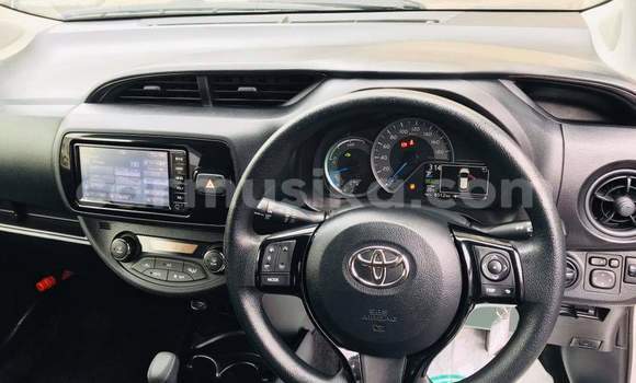 Buy Used Toyota Vitz Silver Car in Borrowdale in Harare Buy Used Toyota Vitz Silver Car in Borrowdale in Harare