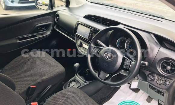 Buy Used Toyota Vitz Silver Car in Borrowdale in Harare Buy Used Toyota Vitz Silver Car in Borrowdale in Harare