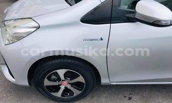 Buy Used Toyota Vitz Silver Car in Borrowdale in Harare Buy Used Toyota Vitz Silver Car in Borrowdale in Harare