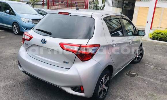 Buy Used Toyota Vitz Silver Car in Borrowdale in Harare Buy Used Toyota Vitz Silver Car in Borrowdale in Harare