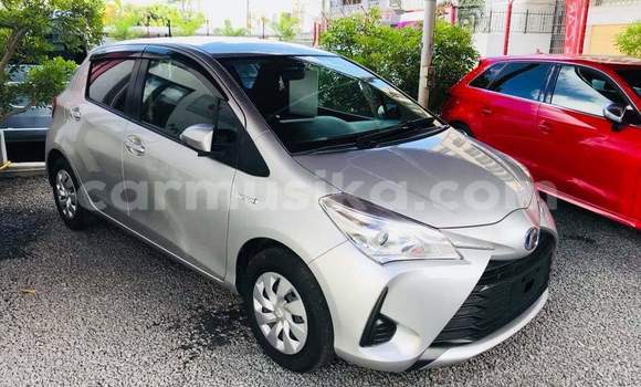 Buy Used Toyota Vitz Silver Car in Beitbridge in Matabeleland South Buy Used Toyota Vitz Silver Car in Beitbridge in Matabeleland South