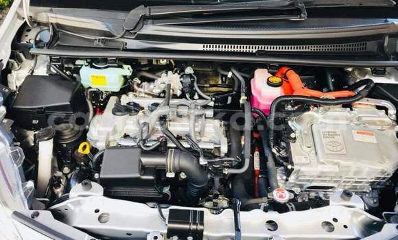 Tenga Tsaru Toyota Vitz Sirivha Mota in Beitbridge in Matabeleland South Tenga Tsaru Toyota Vitz Sirivha Mota in Beitbridge in Matabeleland South