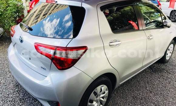 Tenga Tsaru Toyota Vitz Sirivha Mota in Beitbridge in Matabeleland South Tenga Tsaru Toyota Vitz Sirivha Mota in Beitbridge in Matabeleland South