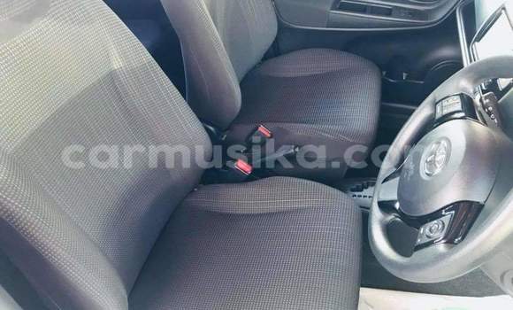 Tenga Tsaru Toyota Vitz Sirivha Mota in Beitbridge in Matabeleland South Tenga Tsaru Toyota Vitz Sirivha Mota in Beitbridge in Matabeleland South