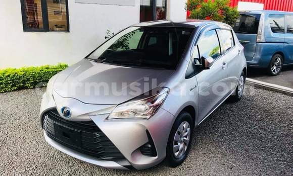 Tenga Tsaru Toyota Vitz Sirivha Mota in Beitbridge in Matabeleland South Tenga Tsaru Toyota Vitz Sirivha Mota in Beitbridge in Matabeleland South