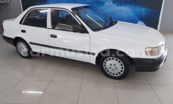 Buy Used Toyota Corolla White Car in Beitbridge in Matabeleland South Buy Used Toyota Corolla White Car in Beitbridge in Matabeleland South