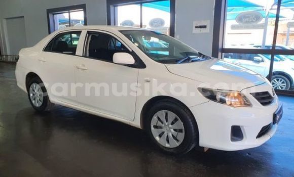Acheter Occasion Voiture Toyota Corolla Blanc à Beitbridge, Matabeleland South