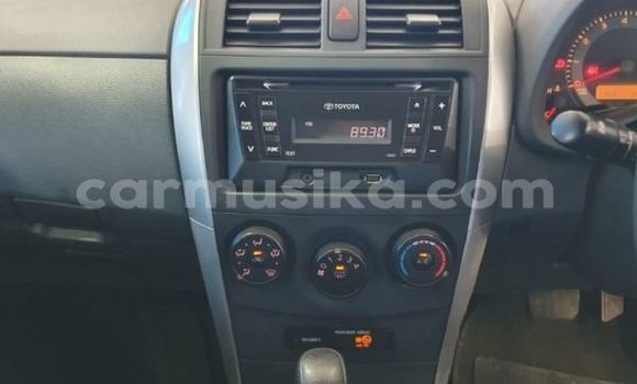 Acheter Occasion Voiture Toyota Corolla Blanc à Beitbridge, Matabeleland South Acheter Occasion Voiture Toyota Corolla Blanc à Beitbridge, Matabeleland South