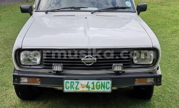 Buy Used Nissan Datsun White Car in Beitbridge in Matabeleland South