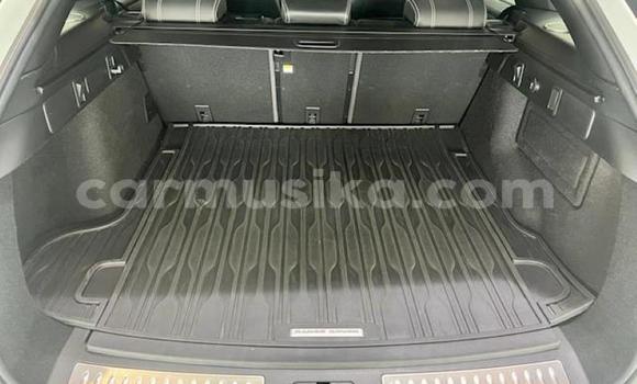 Nunua Ilio tumika Land Rover Range Rover Velar Nyeupe Gari ndani ya Beitbridge nchini Matabeleland Kusini Nunua Ilio tumika Land Rover Range Rover Velar Nyeupe Gari ndani ya Beitbridge nchini Matabeleland Kusini