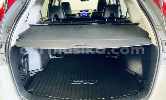 Tenga Tsaru Honda CR–V Chena Mota in Beitbridge in Matabeleland South Tenga Tsaru Honda CR–V Chena Mota in Beitbridge in Matabeleland South