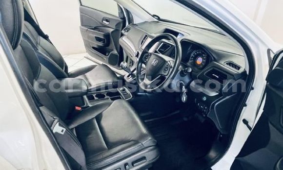 Tenga Tsaru Honda CR–V Chena Mota in Beitbridge in Matabeleland South Tenga Tsaru Honda CR–V Chena Mota in Beitbridge in Matabeleland South