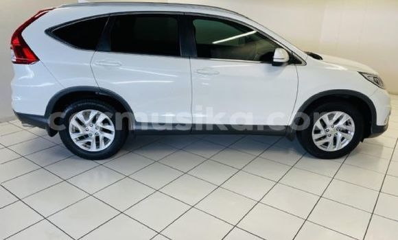 Tenga Tsaru Honda CR–V Chena Mota in Beitbridge in Matabeleland South Tenga Tsaru Honda CR–V Chena Mota in Beitbridge in Matabeleland South