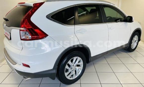 Tenga Tsaru Honda CR–V Chena Mota in Beitbridge in Matabeleland South Tenga Tsaru Honda CR–V Chena Mota in Beitbridge in Matabeleland South