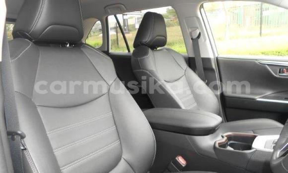 Nunua Ilio tumika Toyota RAV4 Nyeupe Gari ndani ya Beitbridge nchini Matabeleland Kusini Nunua Ilio tumika Toyota RAV4 Nyeupe Gari ndani ya Beitbridge nchini Matabeleland Kusini