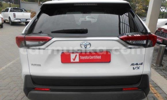 Nunua Ilio tumika Toyota RAV4 Nyeupe Gari ndani ya Beitbridge nchini Matabeleland Kusini Nunua Ilio tumika Toyota RAV4 Nyeupe Gari ndani ya Beitbridge nchini Matabeleland Kusini