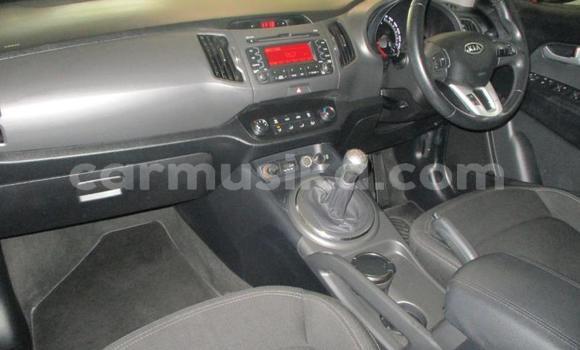 Buy Used Kia Sportage Red Car in Beitbridge in Matabeleland South Buy Used Kia Sportage Red Car in Beitbridge in Matabeleland South