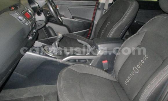 Buy Used Kia Sportage Red Car in Beitbridge in Matabeleland South Buy Used Kia Sportage Red Car in Beitbridge in Matabeleland South