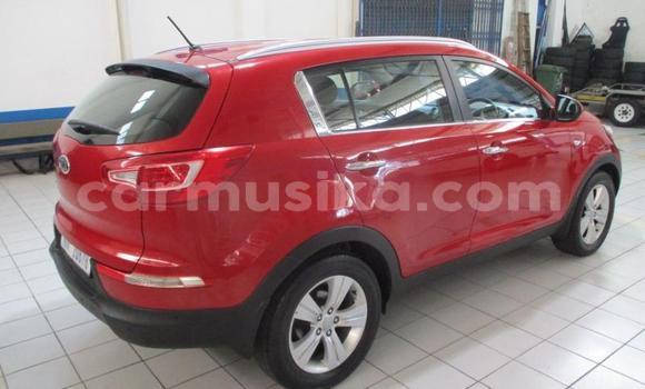 Buy Used Kia Sportage Red Car in Beitbridge in Matabeleland South Buy Used Kia Sportage Red Car in Beitbridge in Matabeleland South