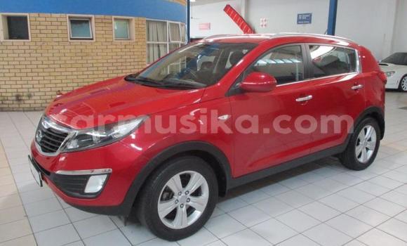 Buy Used Kia Sportage Red Car in Beitbridge in Matabeleland South Buy Used Kia Sportage Red Car in Beitbridge in Matabeleland South