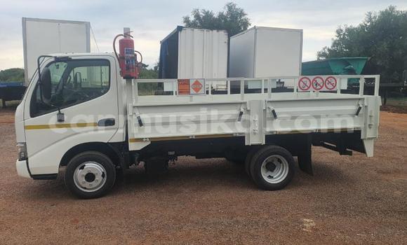 Buy Used Toyota Dyna White Truck in Beitbridge in Matabeleland South
