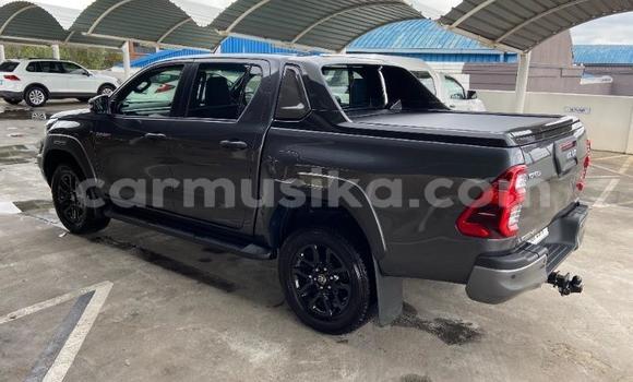 Acheter Occasion Voiture Toyota Hilux Gris à Beitbridge, Matabeleland South