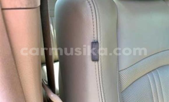 Buy Used Toyota Alphard Black Car in Beitbridge in Matabeleland South Buy Used Toyota Alphard Black Car in Beitbridge in Matabeleland South