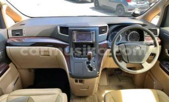 Buy Used Toyota Alphard Black Car in Beitbridge in Matabeleland South Buy Used Toyota Alphard Black Car in Beitbridge in Matabeleland South