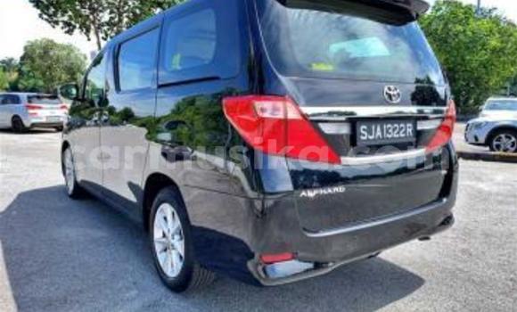 Buy Used Toyota Alphard Black Car in Beitbridge in Matabeleland South Buy Used Toyota Alphard Black Car in Beitbridge in Matabeleland South