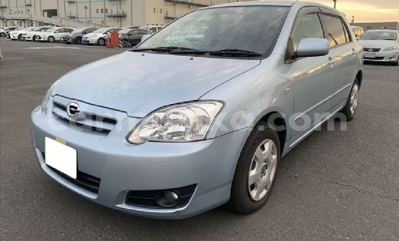 Tenga Tsaru Toyota Runx Bhuruu Mota in Beitbridge in Matabeleland South