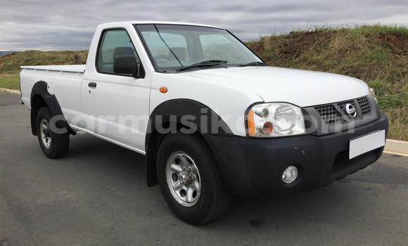 Buy Used Nissan NP 300 White Car in Harare in Harare
