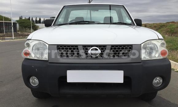 Buy Used Nissan NP 300 White Car in Harare in Harare Buy Used Nissan NP 300 White Car in Harare in Harare