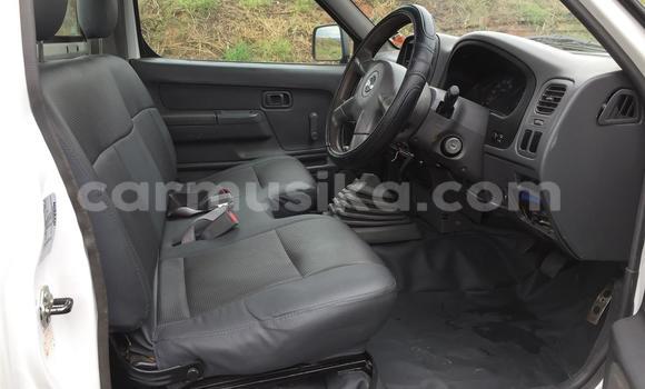 Buy Used Nissan NP 300 White Car in Harare in Harare Buy Used Nissan NP 300 White Car in Harare in Harare