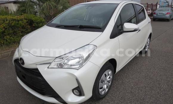 Buy Used Toyota Vitz White Car in Beitbridge in Matabeleland South
