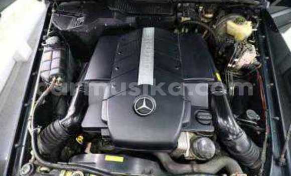 Tenga Tsaru Mercedes‒Benz G-klasse Nhema Mota in Beitbridge in Matabeleland South Tenga Tsaru Mercedes‒Benz G-klasse Nhema Mota in Beitbridge in Matabeleland South