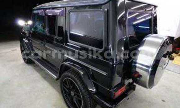 Tenga Tsaru Mercedes‒Benz G-klasse Nhema Mota in Beitbridge in Matabeleland South Tenga Tsaru Mercedes‒Benz G-klasse Nhema Mota in Beitbridge in Matabeleland South