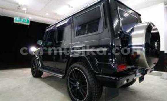 Tenga Tsaru Mercedes‒Benz G-klasse Nhema Mota in Beitbridge in Matabeleland South Tenga Tsaru Mercedes‒Benz G-klasse Nhema Mota in Beitbridge in Matabeleland South